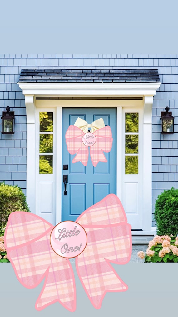 LARGE Door Hanger Birth Announcement (choose blue or pink)