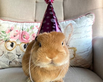 Pet Party Hat Mini Cat Dog Rabbit Small Pet Birthday Party Hat Dog Birthday Hat Party Pet Birthday Birthday Hat for Pet