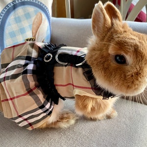 Bunny Harness Dress for Rabbit Cat Small Pet Rabbit Clothes - Etsy