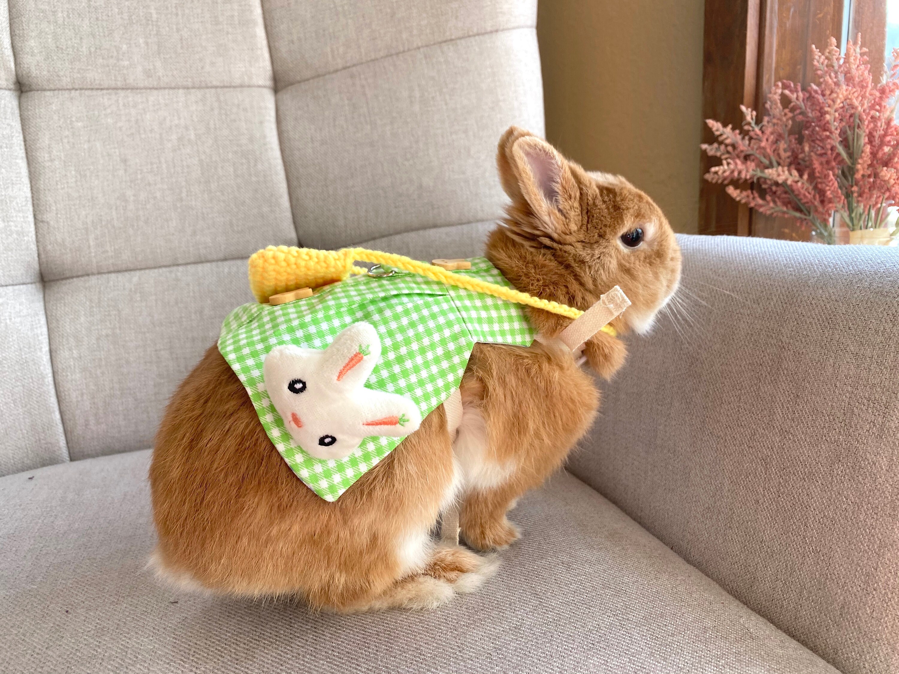 Bunny Green Dress Harness Leash Hat for Rabbit Small Pet Etsy