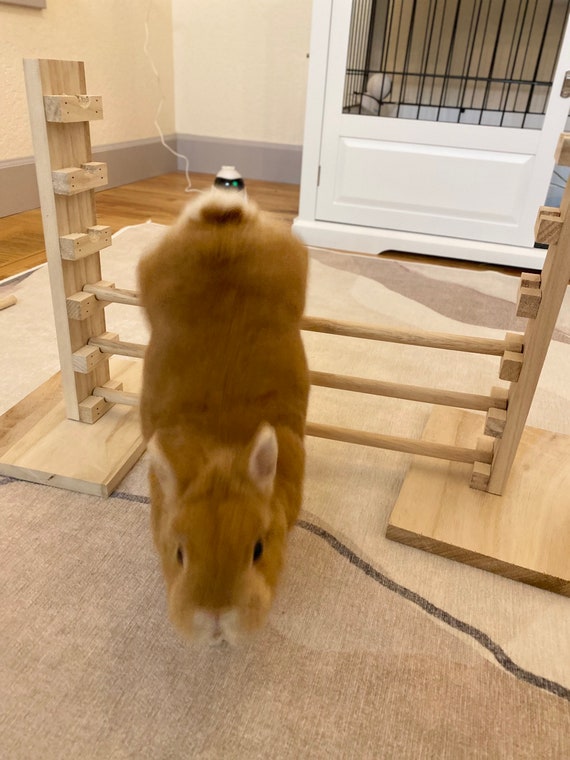 Rabbit Jump Bar Jump Hurble Bunny Exercise Agility Training