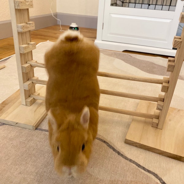 Barre de saut en lapin, saut Hurble, exercice de lapin, entraînement d'agilité, jouet d'activité en bois de pin naturel, barres de niveau en hauteur réglables