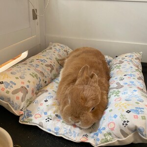 Bunny Bed Loaf Potato Flop Long Rabbit Bed Pillow Large Size ...