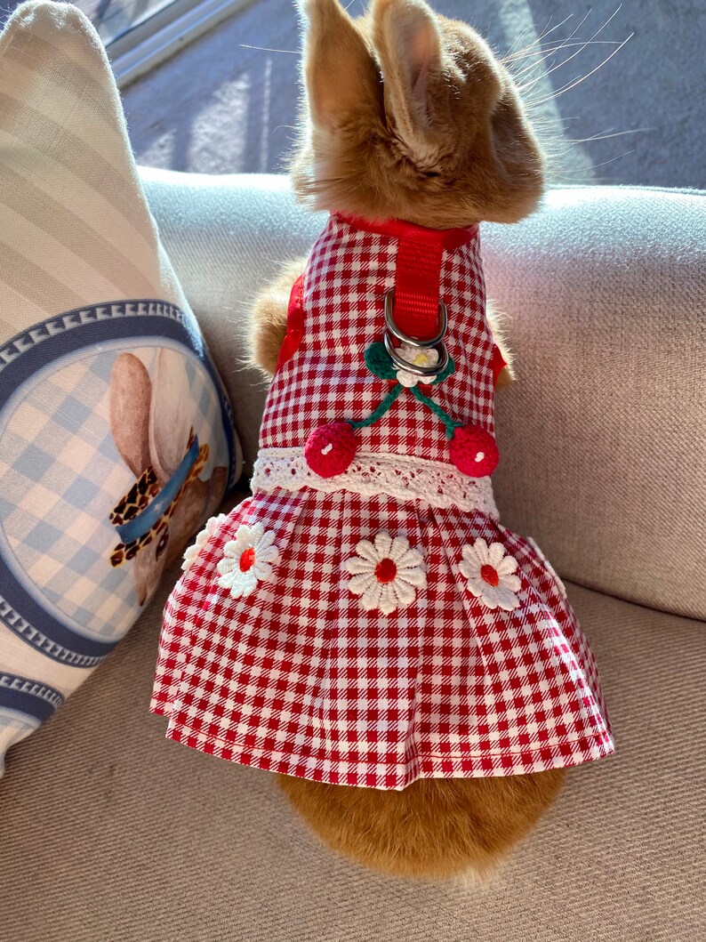 Bunny Harness Cherry Dress for Rabbit Small Pet Rabbit Clothes Etsy UK