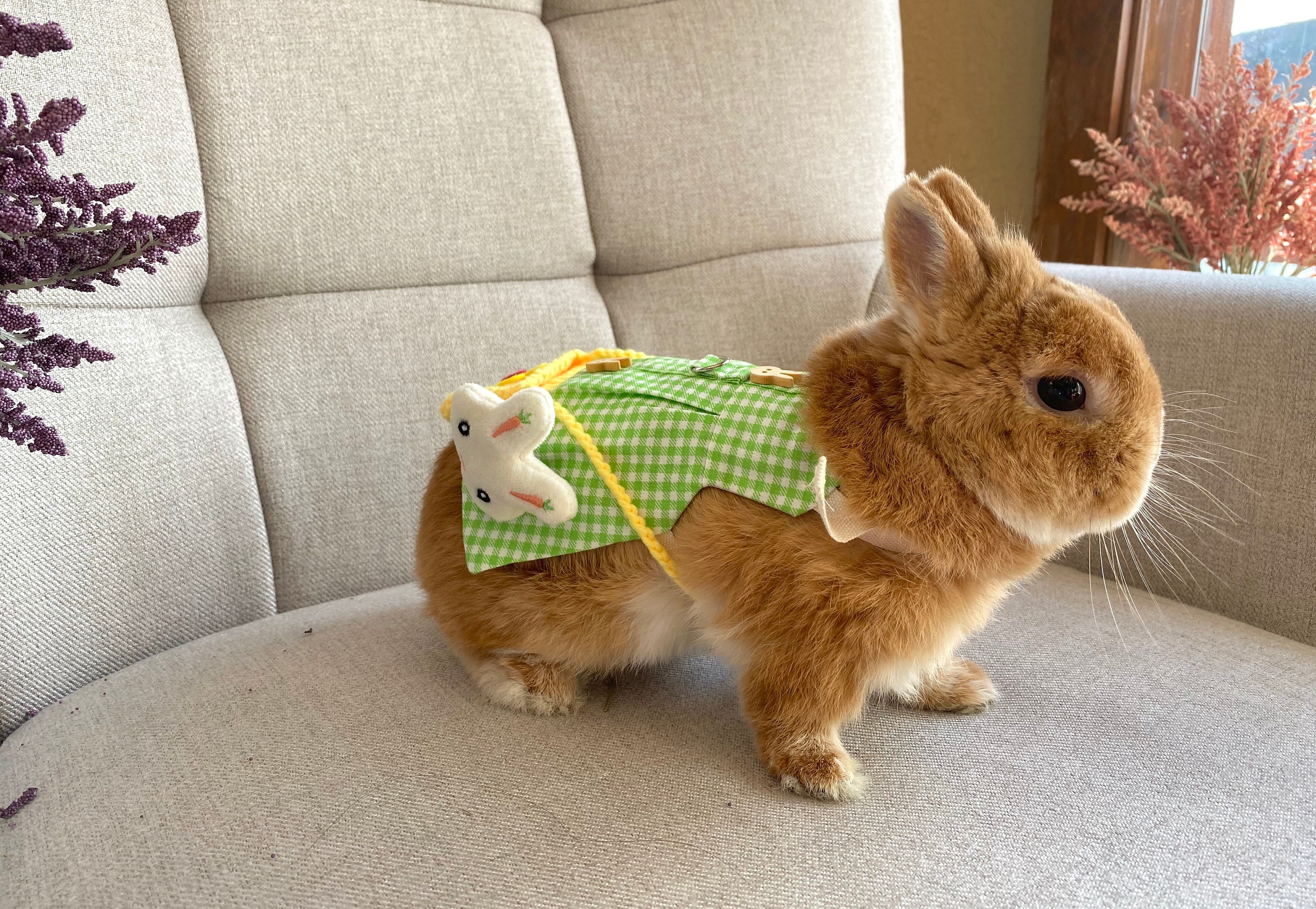 Bunny Green Dress Harness Leash Hat for Rabbit Small Pet | Etsy