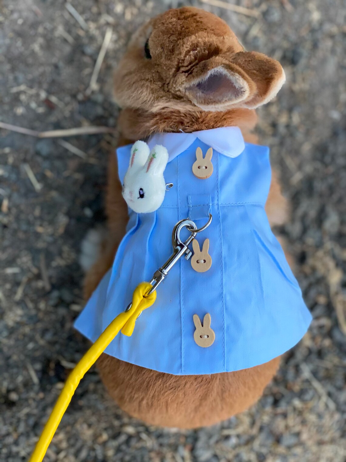 Bunny Dress Harness for Rabbit Small Pet Rabbit Clothes Rabbit Etsy