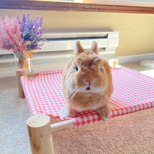 Pet Bed for Rabbit, Bunny, Cat and Small dog/ Bed Canvas Wooden Bed Simple Installation Detachable Bed Hammock