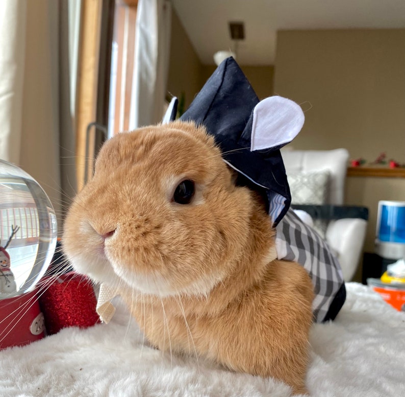 Scotch Plaid Rabbit Ears Harness for Rabbit Bunny Small Pet | Etsy