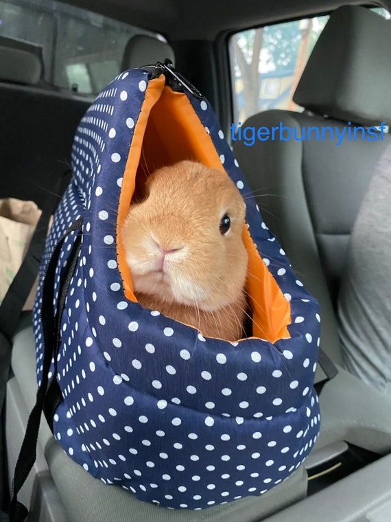 Stylish and Comfortable Pet Carrier for Small Animals