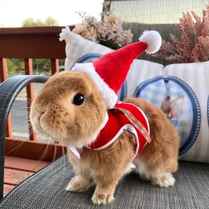 Buy Rabbit Santa Clothes Online In India Etsy India