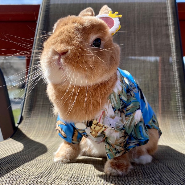 Hawaiian Costume for Rabbit, Bunny, Cat, Small Dog and Small Pet