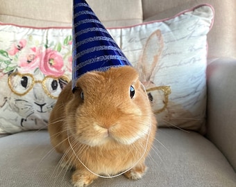 Dog Rabbit Small Pet Birthday Party Hat 