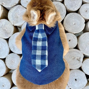 Bunny Plaid Necktie Blue Harness Leash for Rabbit Small Pet Rabbit Clothes Rabbit Leash image 1