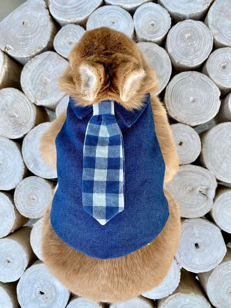 Bunny Plaid Necktie Blue Harness Leash for Rabbit Small Pet Rabbit Clothes Rabbit Leash image 1