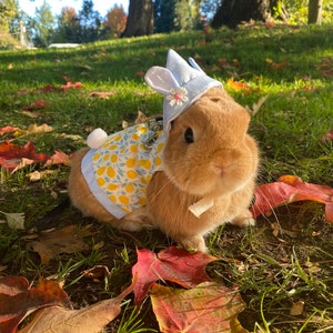 Lemon Bunny Ears Harness with Rabbit, Bunny, Small Pet
