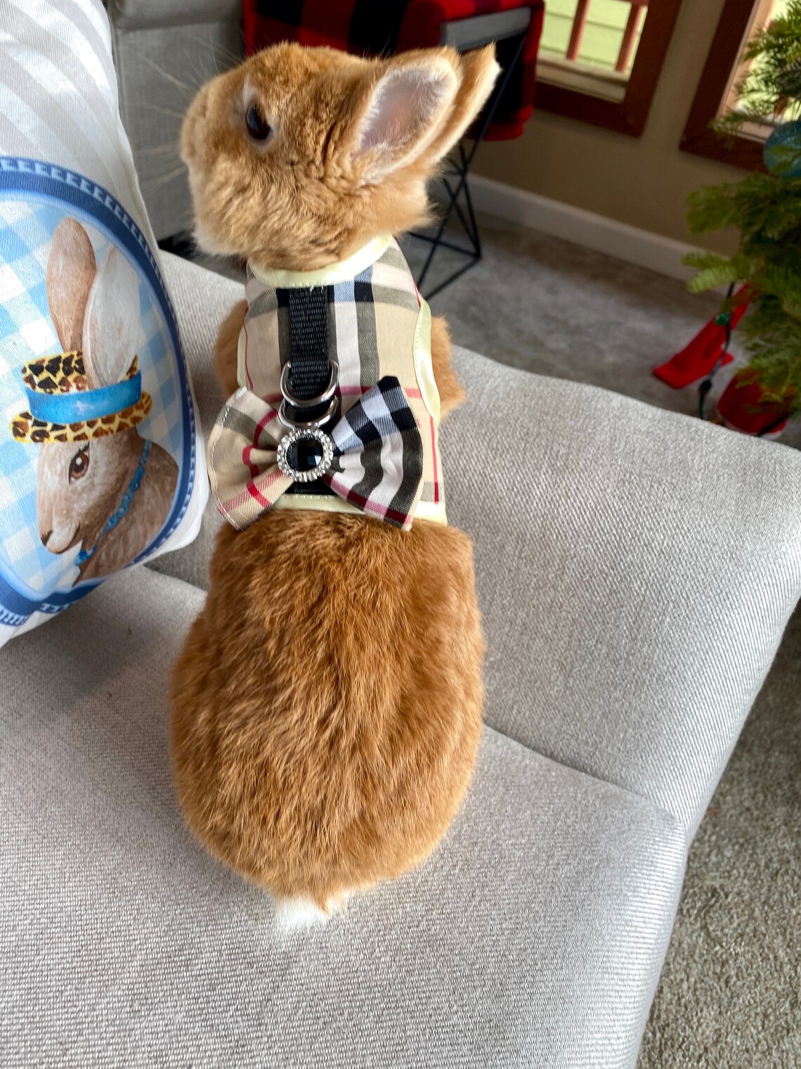 Bunny Harness Vest for Rabbit Small Pet Rabbit Clothes Rabbit Etsy