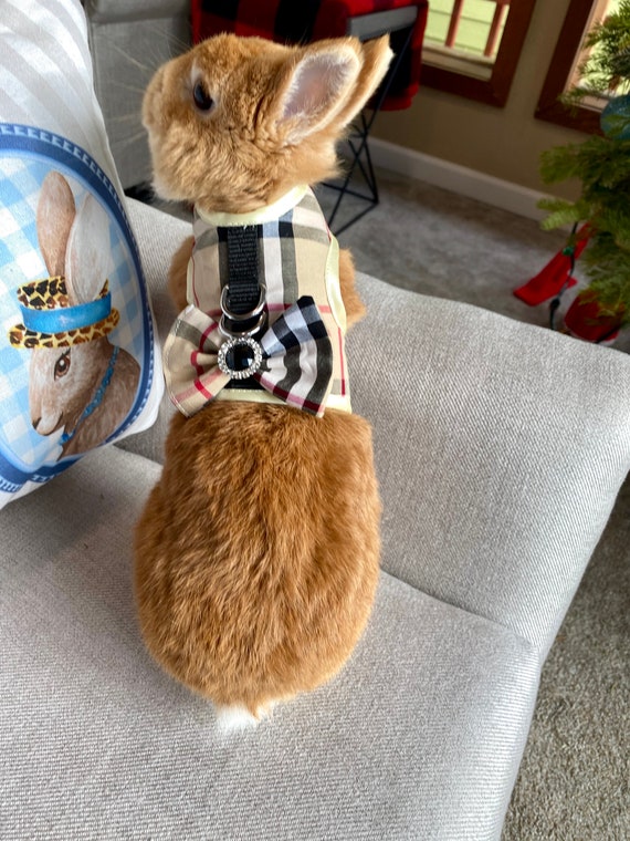 Schrijfmachine Toepassing andere Bunny Harnas Vest voor Konijn Klein Huisdier Konijn Kleding - Etsy Nederland