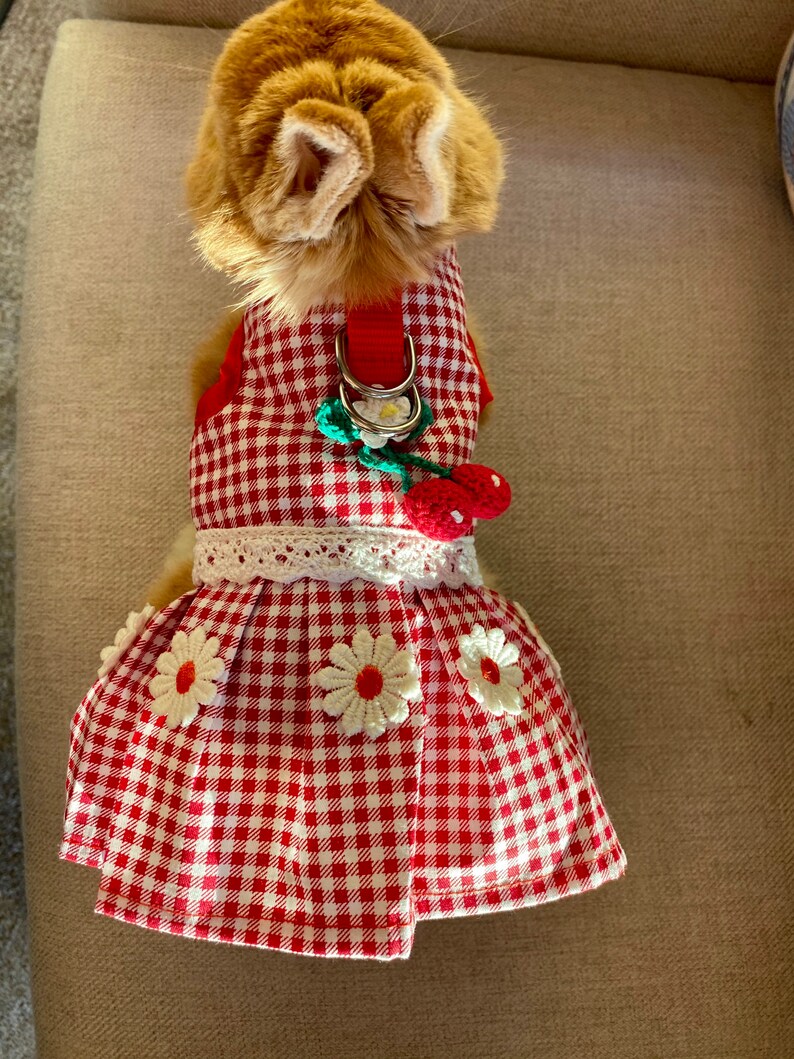 Bunny Harness Cherry Dress for Rabbit Small Pet Rabbit Clothes Etsy UK
