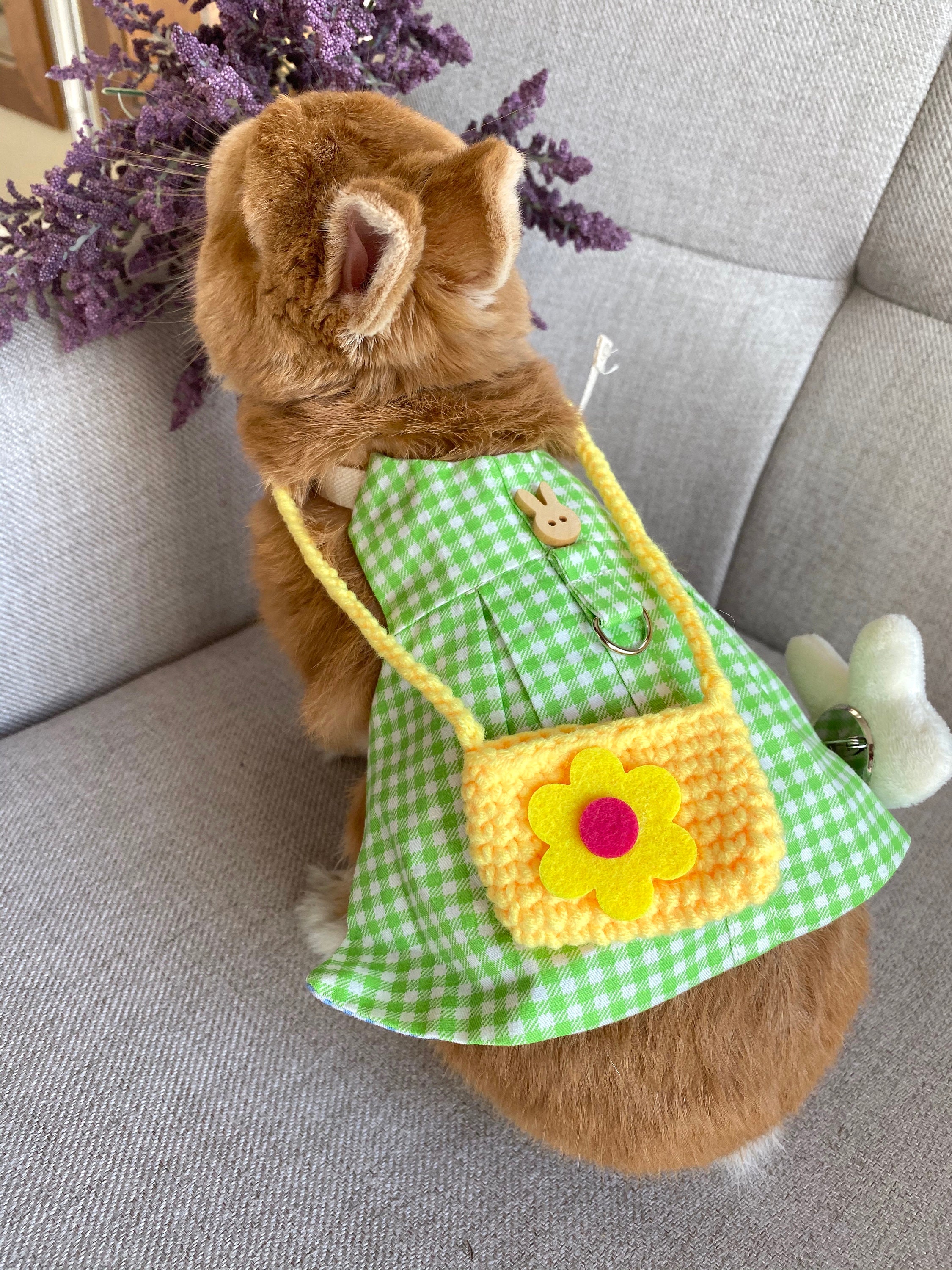 Bunny Green Dress Harness Leash Hat for Rabbit Small Pet Etsy