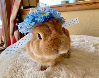 Corona de flores azules de primavera, corona de boda, cumpleaños, regalo, fotos para conejo, conejito, gato, perro cachorro, mascota pequeña