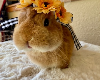 Spring Flower crown, Wedding Crown, Birthday, Gift, Photos for rabbit, bunny, cat, puppy dog, small pet