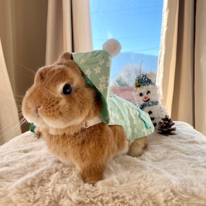 Bunny Green Flower Harness for Rabbit and Small Pet image 1