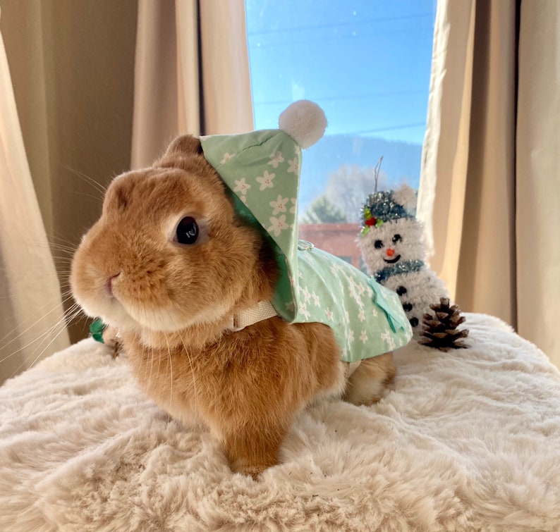 Arnés Bunny Green Flower para Conejos y Mascotas Pequeñas imagen 1