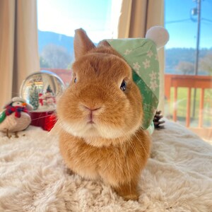 Bunny Green Flower Harness for Rabbit and Small Pet image 2