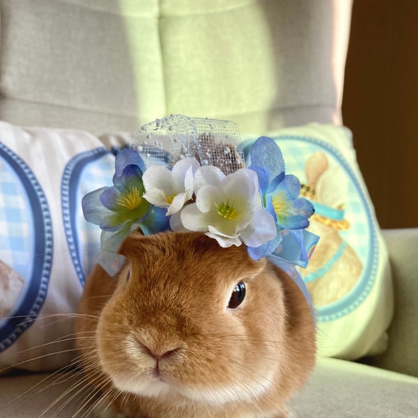 Couronne de fleurs bleues, fleur blanche, couronne de fleurs de printemps, couronne de mariage, anniversaire, cadeau, photos pour lapin, lapin, chat, chien chiot, petit animal de compagnie