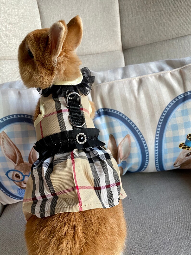 Bunny Harness Dress for Rabbit Cat Small Pet Rabbit Clothes Etsy
