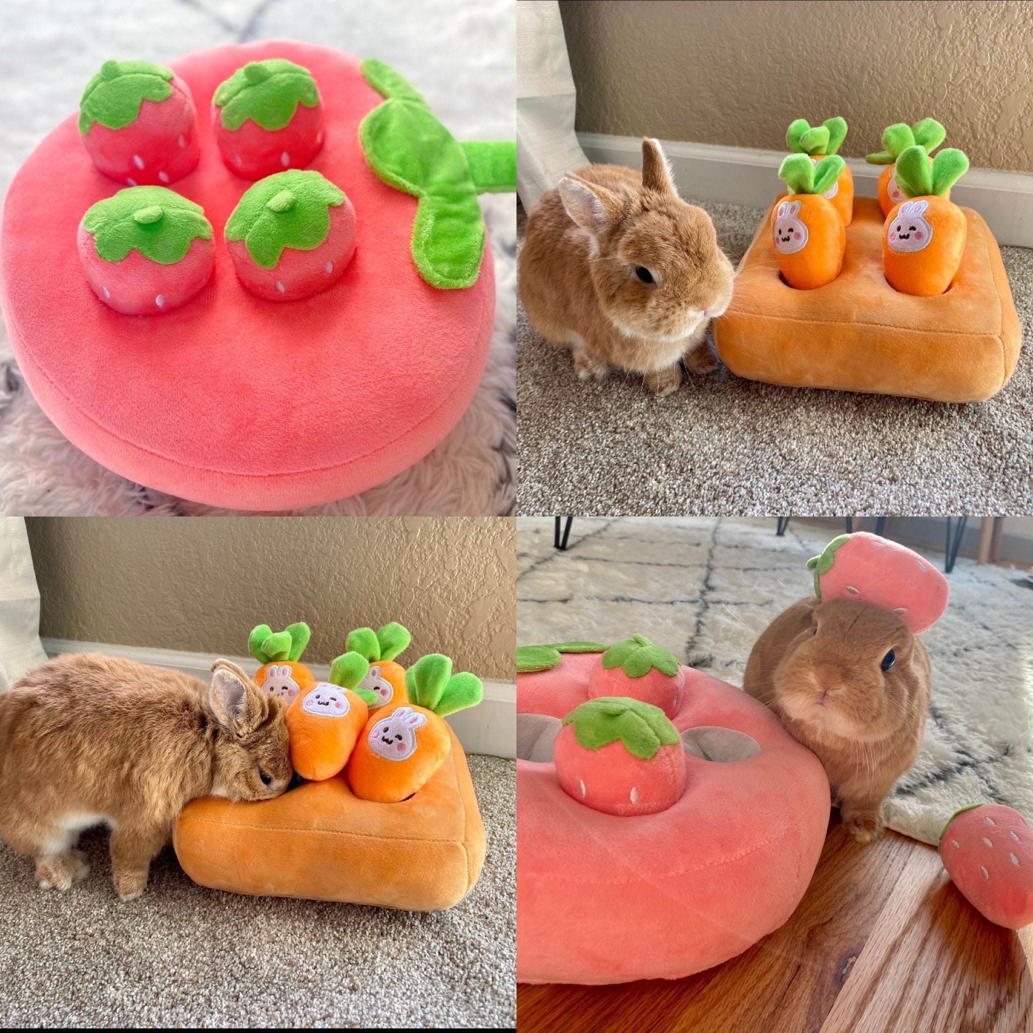 Jouet en peluche carotte fraises, tapis à renifler, Puzzle, mangeoire pour  animal domestique, lapin, chien et petit animal de compagnie -  France
