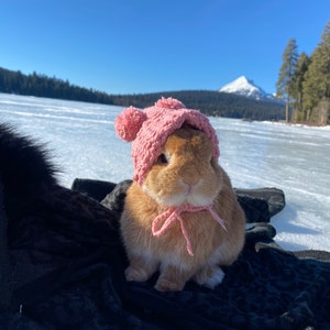 Pom Pom Knit Beanie for Rabbit, Cat, puppy, Small Pet