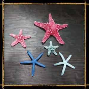 Starfish Set Foam Prop for LARP, Cosplay & Film | DIY Customizable
