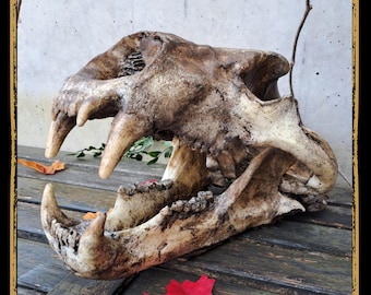 Skull Polarbear Foam Prop for LARP, Cosplay & Film | DIY Customizable