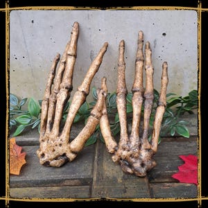 Human Skeleton Hands Foam Prop for LARP, Cosplay & Film | DIY Customizable