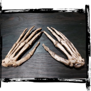 Hands Human Skeleton | LARP, cosplay, film | Foam prop