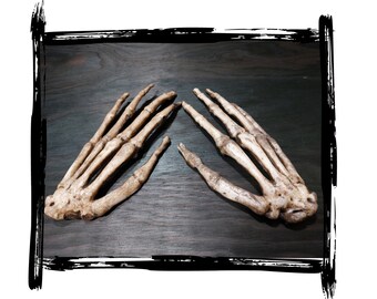 Skeleton hand | LARP, cosplay, film | PUR foam prop