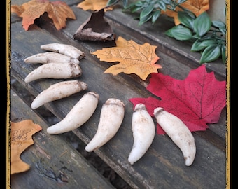 Canine Teeth Foam Prop for LARP, Cosplay & Film | DIY Customizable