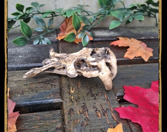 Skull Snake Foam Prop for LARP, Cosplay & Film | DIY Customizable