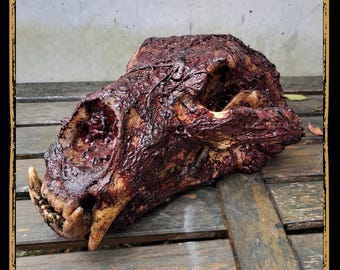 Gore Skull Foam Prop for LARP, Cosplay & Film | DIY Customizable