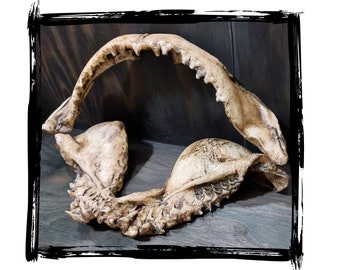 Shark teeth | LARP, cosplay, film | PUR foam prop