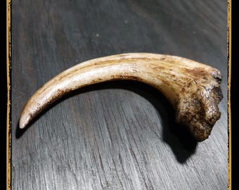 Claw Monster Foam Prop for LARP, Cosplay & Film | DIY Customizable