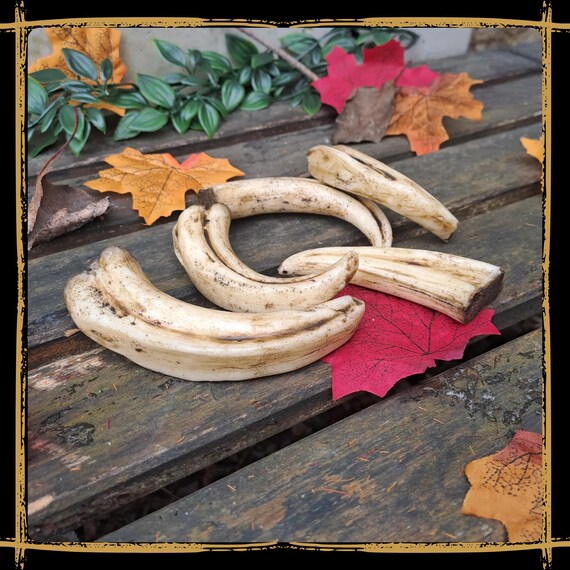 Boar Tusks Foam Prop for LARP, Cosplay & Film | DIY Customizable