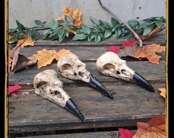 Skull Crow Foam Prop for LARP, Cosplay & Film | DIY Customizable