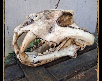 Skull Tiger Foam Prop for LARP, Cosplay & Film | DIY Customizable