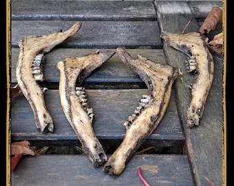 Jaw Deer Foam Prop for LARP, Cosplay & Film | DIY Customizable