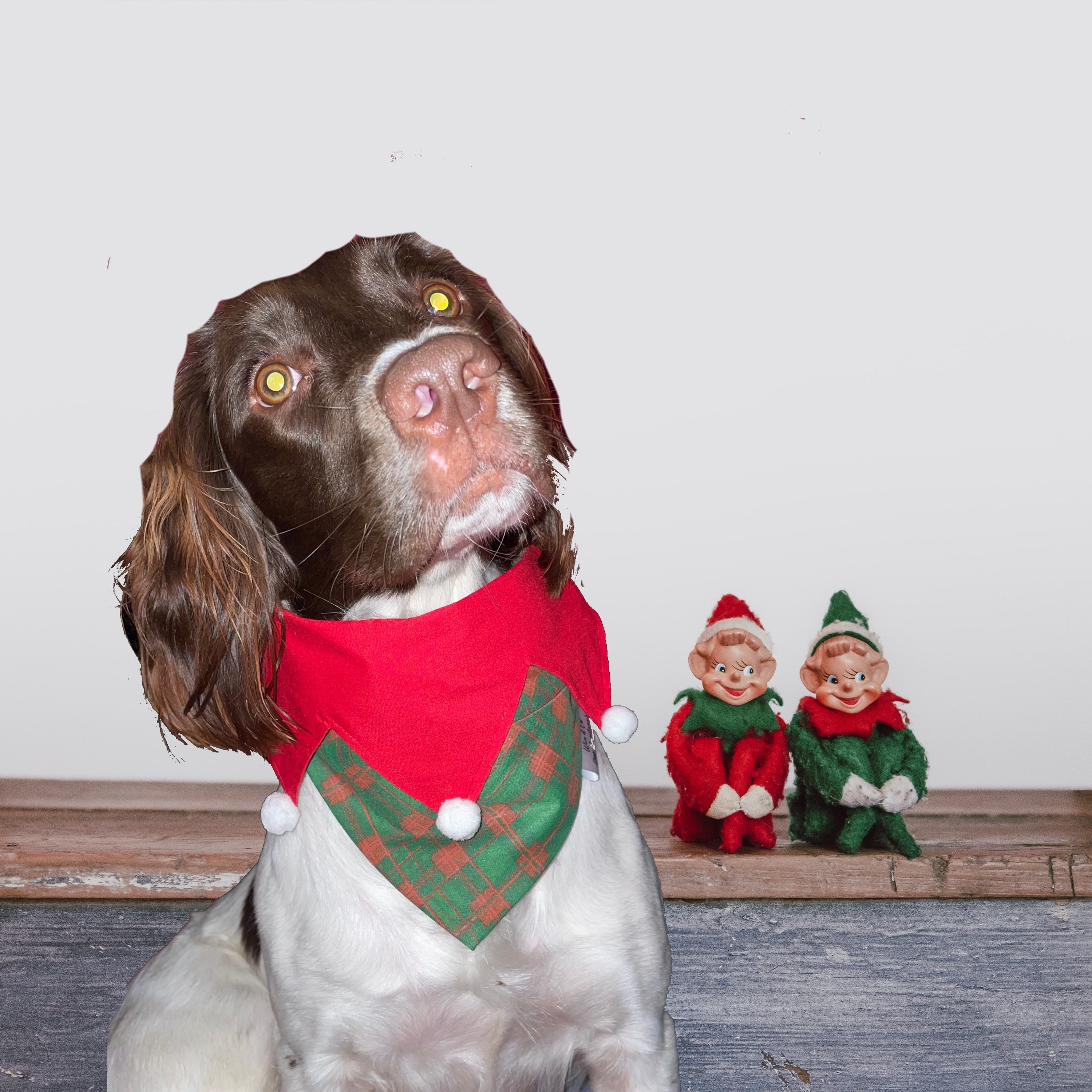 elf dog bandana