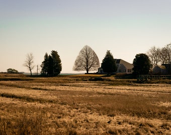 The Seasons in Series: Winter Scene; Duxbury, Massachusetts