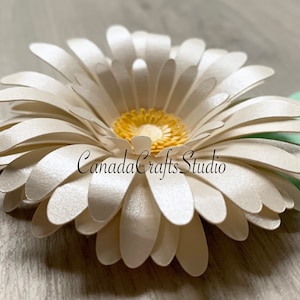 File di taglio per macchina SVG con fiori di carta margherita