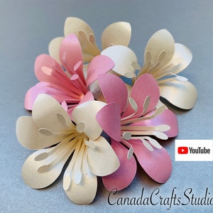 SVG/DXF/PDF Fleur en papier Modèle Lily + Tutoriel vidéo